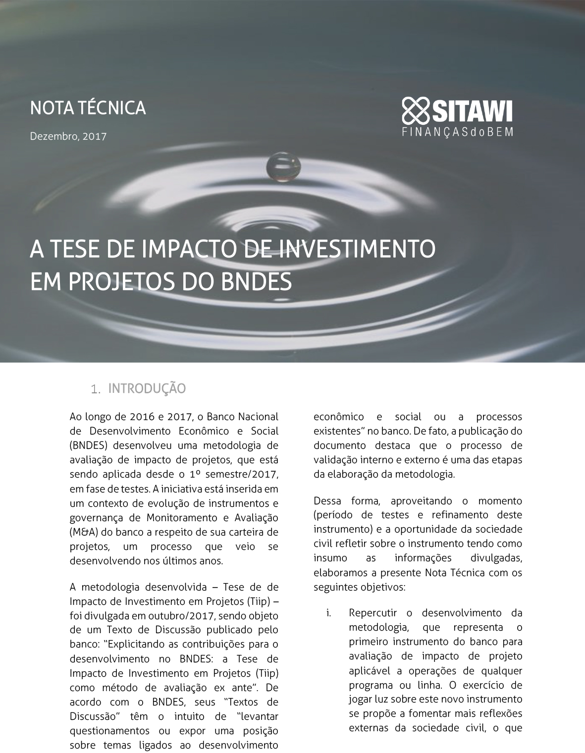 A TESE DE IMPACTO DE INVESTIMENTO EM PROJETOS DO BNDES